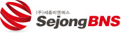 SJBnS, 세종비엔에스